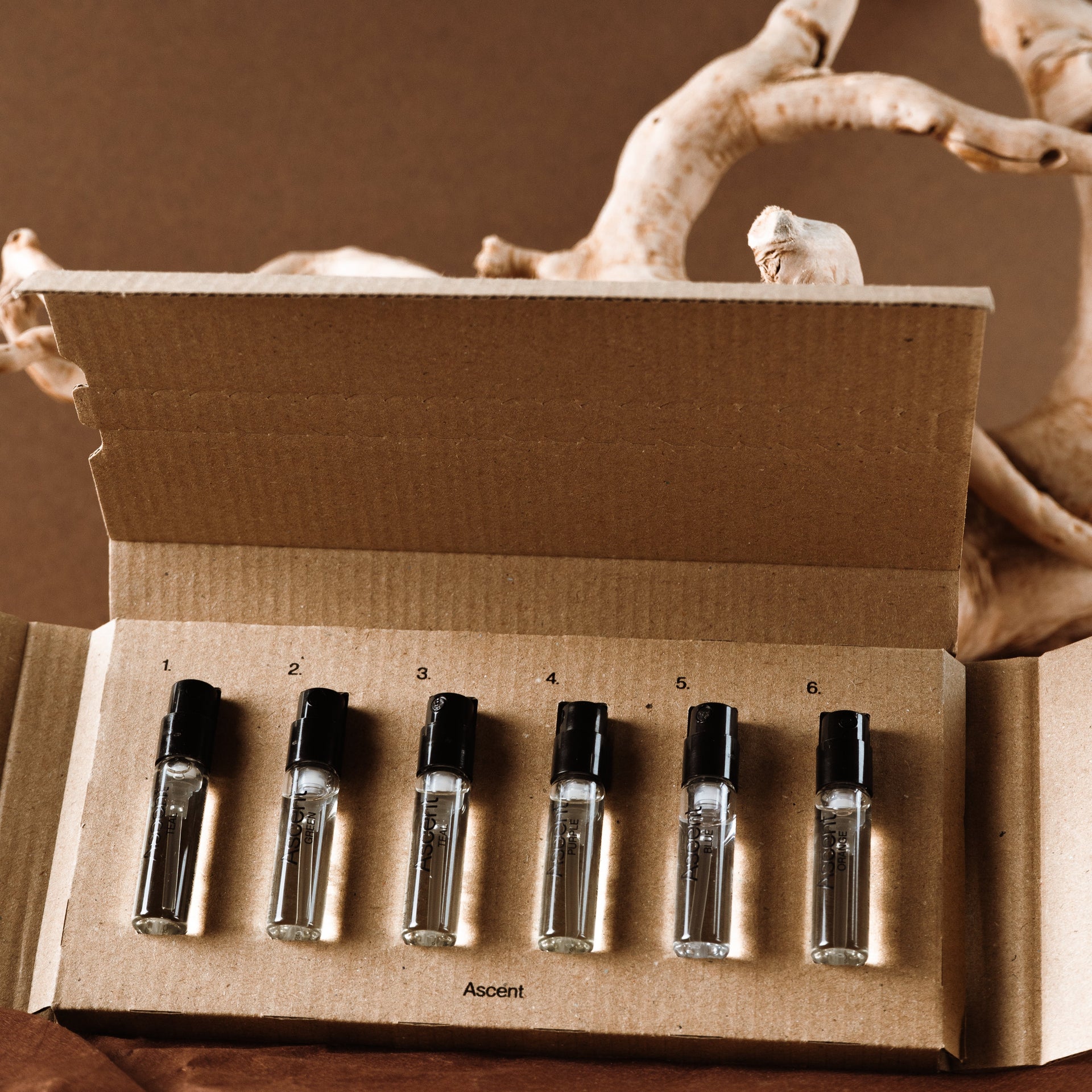 Ascent sustainable refillable perfume discovery set — vegan and gender-free