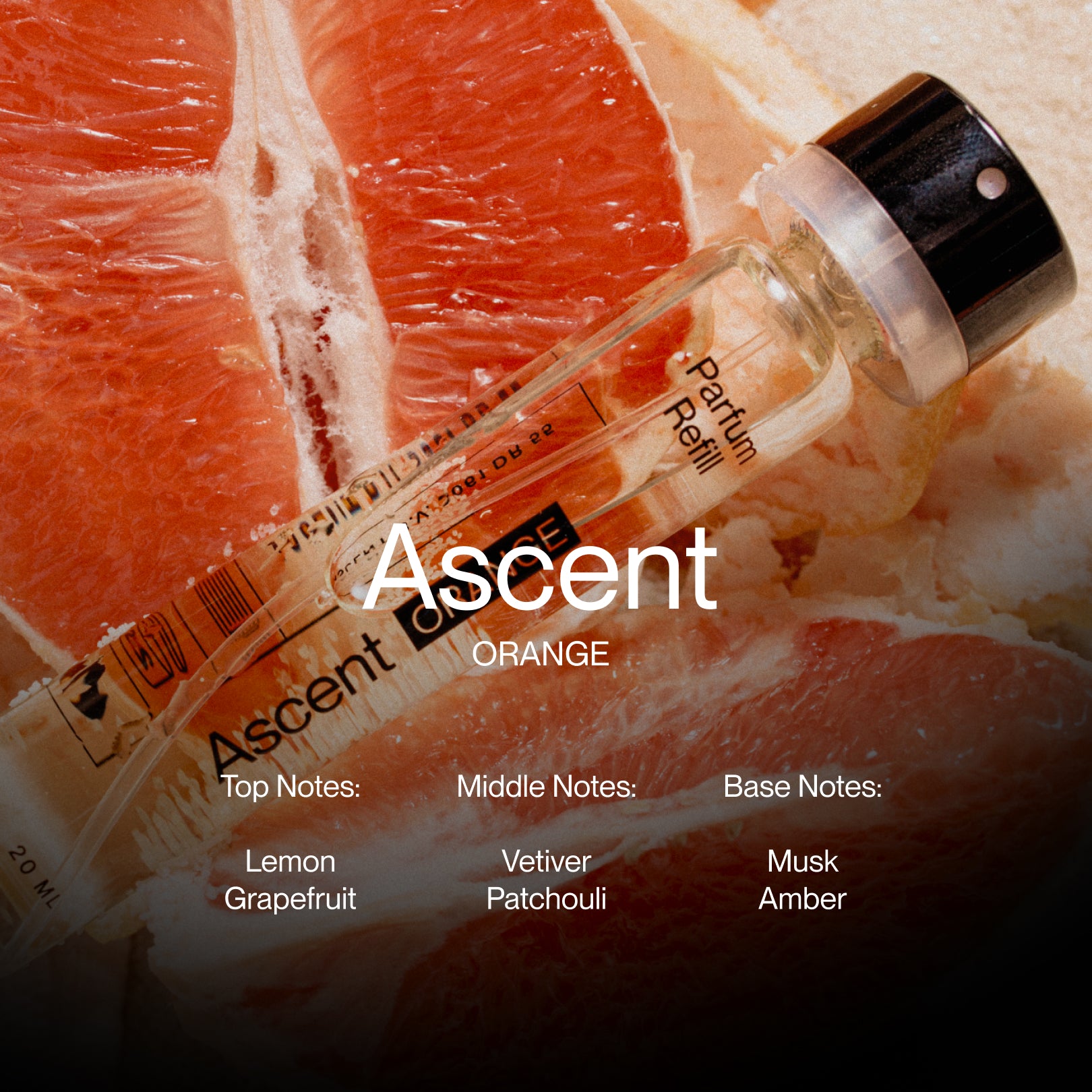 Ascent Orange Starter Pack