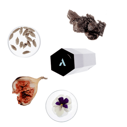 Parfum Refill