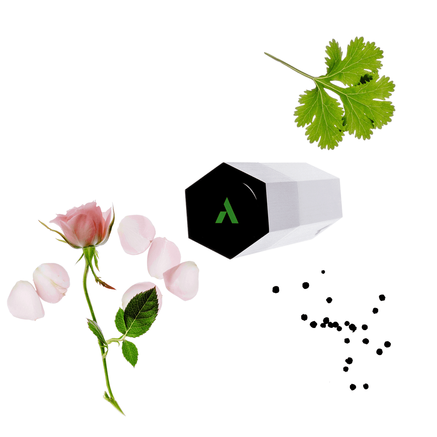 Parfum Refill