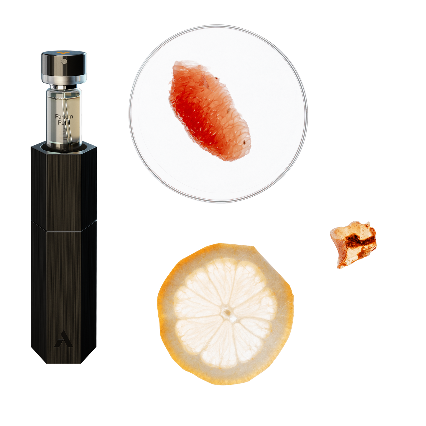 Case + Parfum Refill