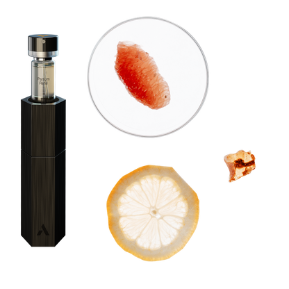 Case + Parfum Refill