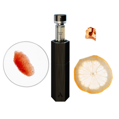 Case + Parfum Refill
