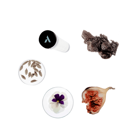 Parfum Refill