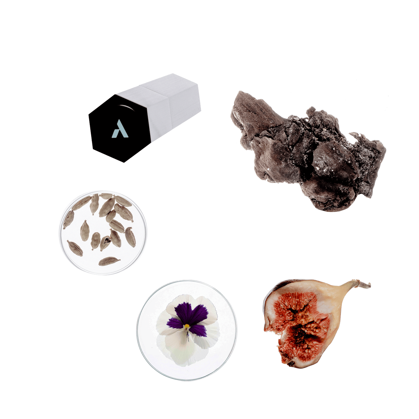 Parfum Refill