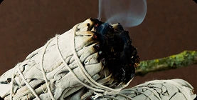 Ascent Refill (No spray)