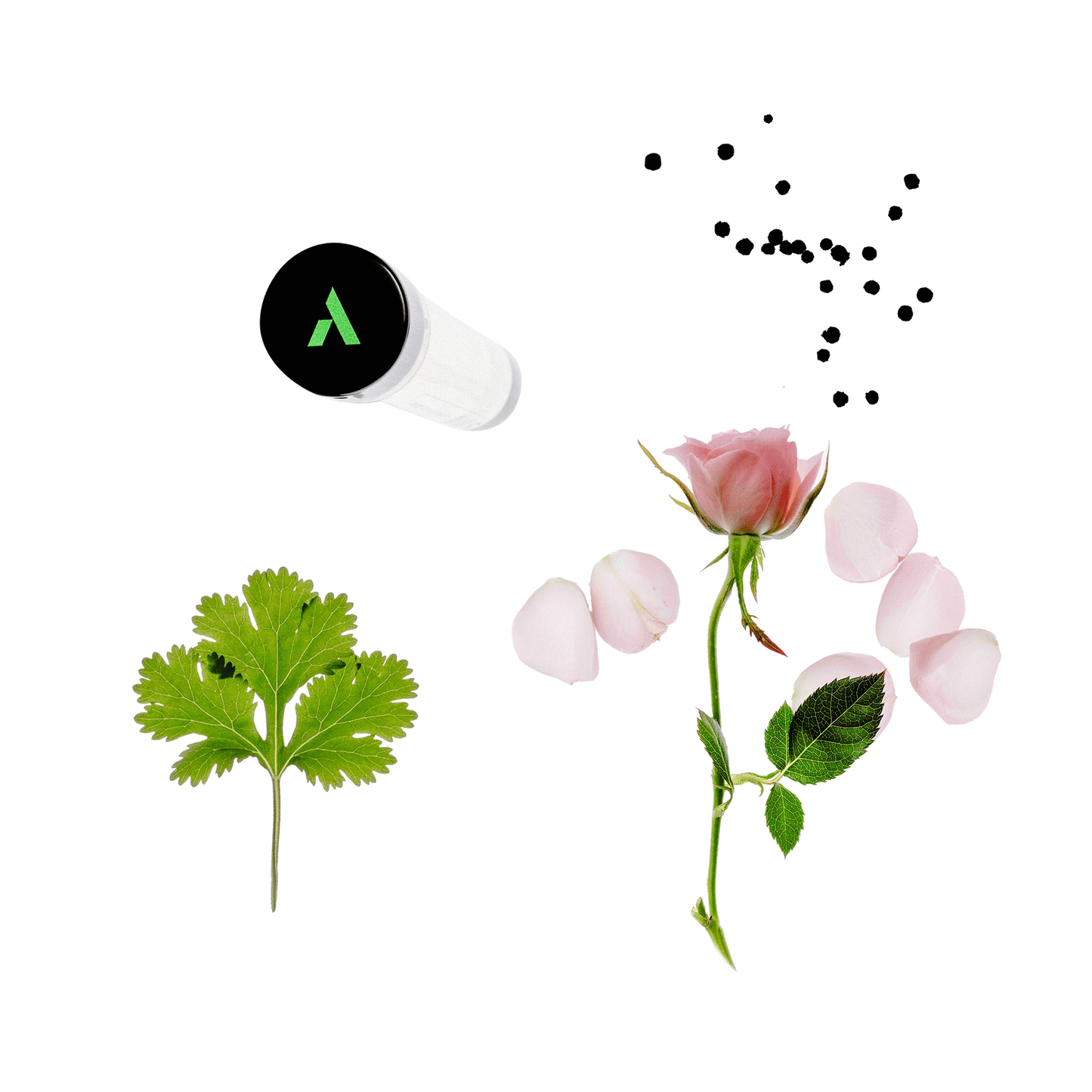 Parfum Refill