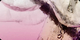 Ascent Refill (No spray)