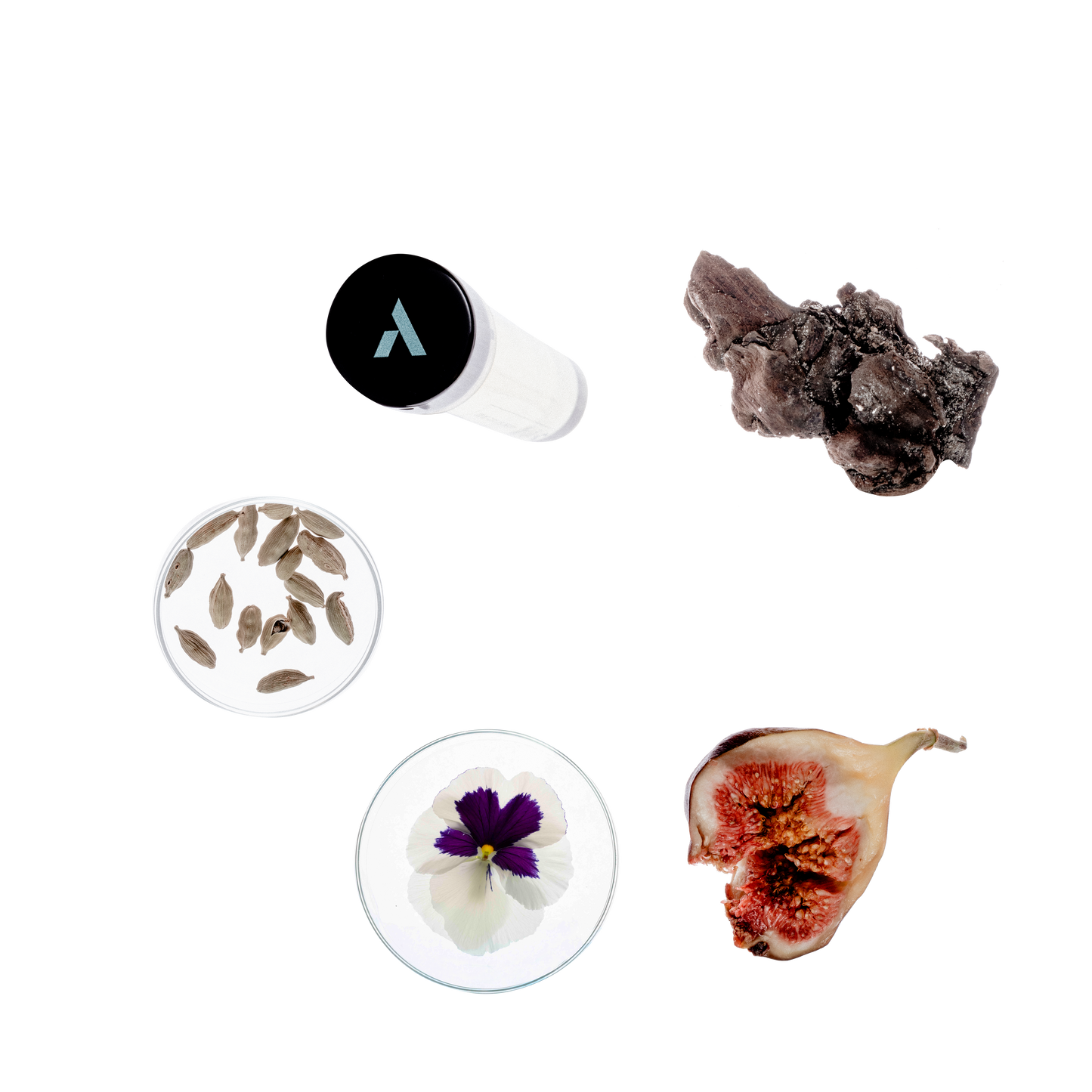 Starter Pack