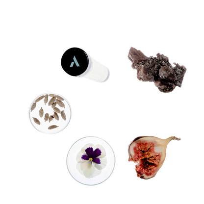 Starter Pack