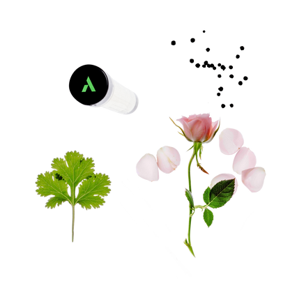 Parfum Refill