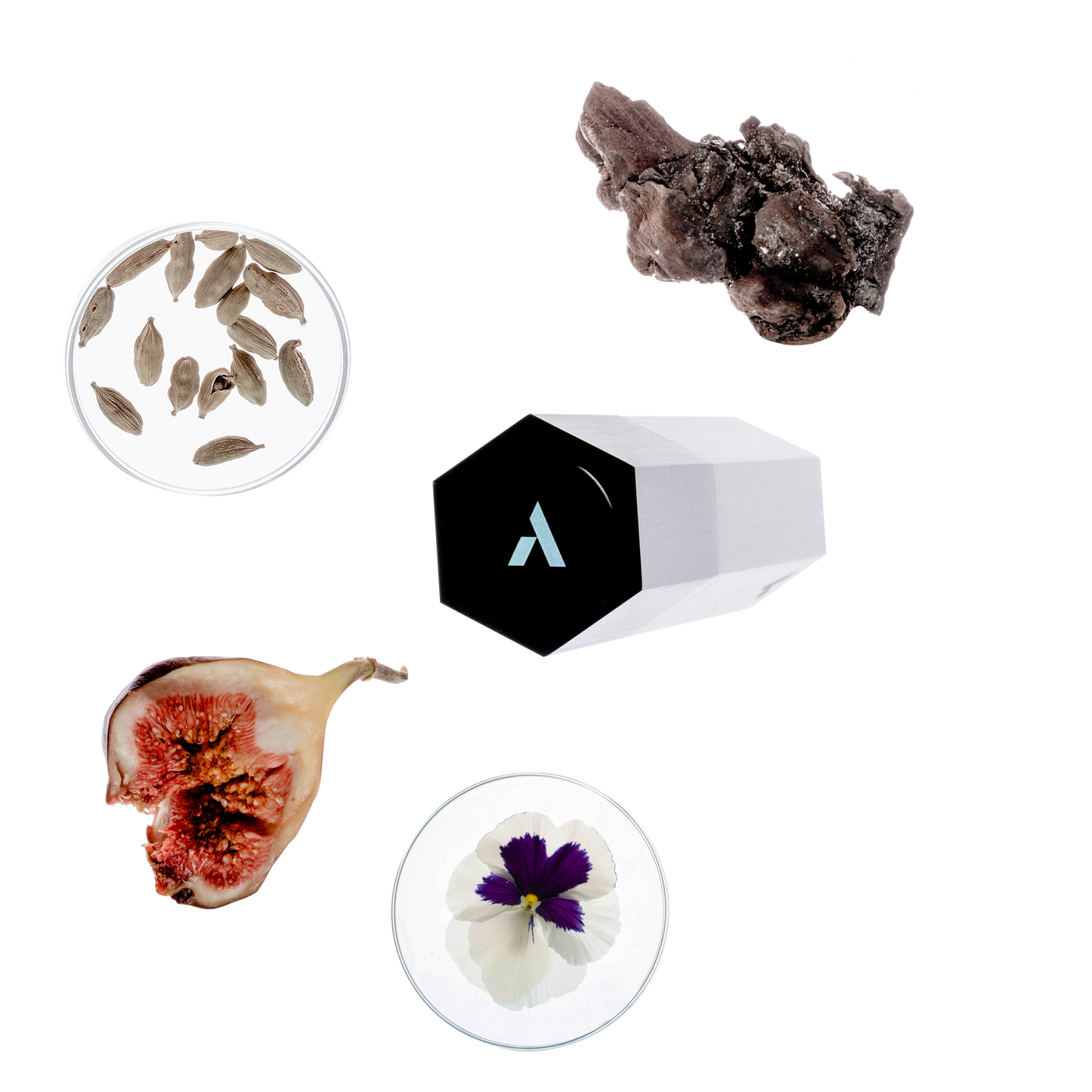 Starter Pack
